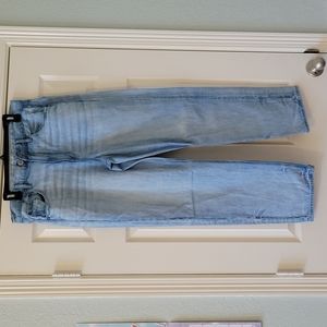 American Eagle 90s Boyfriend Jean Size 12 Long